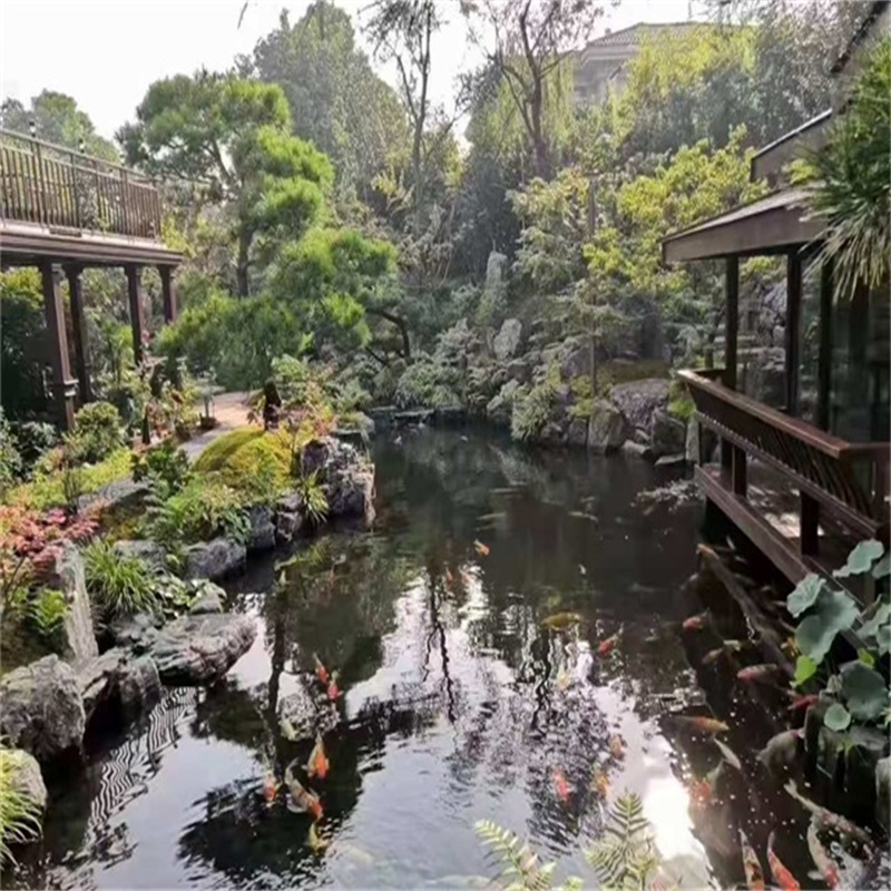 佛山假山植物小鱼池